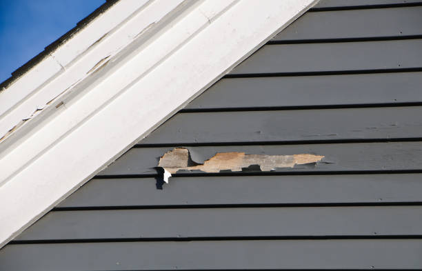 Professional Junk Removal in Mechanicsburg, PA